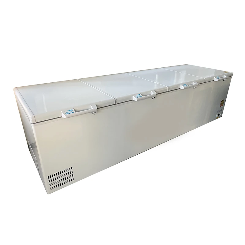 # Горячая продажа с фабрики, 1 – обзор и цена Commercial Chest Freezer